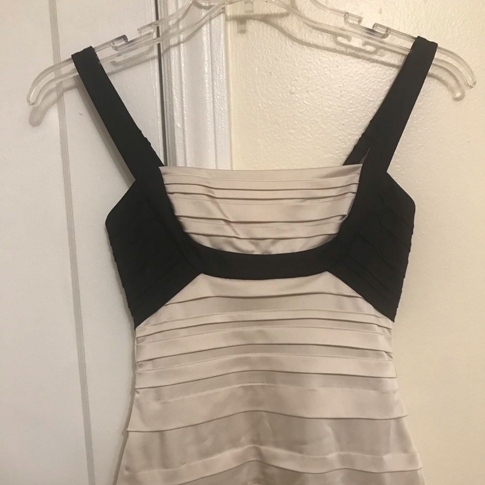 New BCBG Maxazria Maxi dress